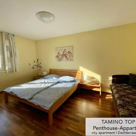 Penthouse Tamino 10 * Schladming