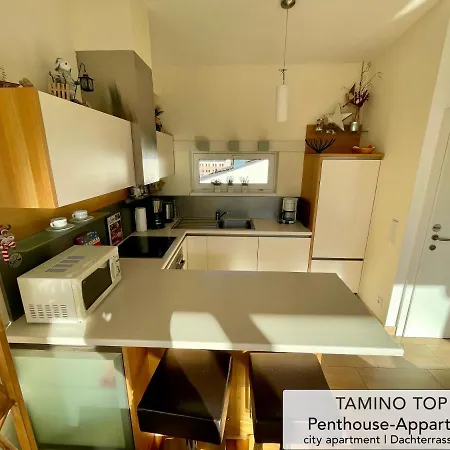 Penthouse Tamino 10 Apartament Schladming